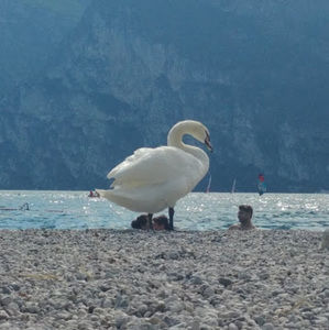 Meet your Posher, Eva